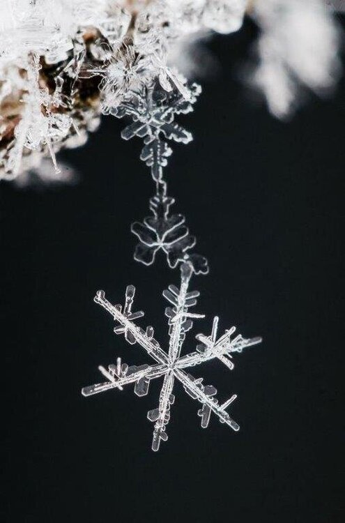 Snowflake