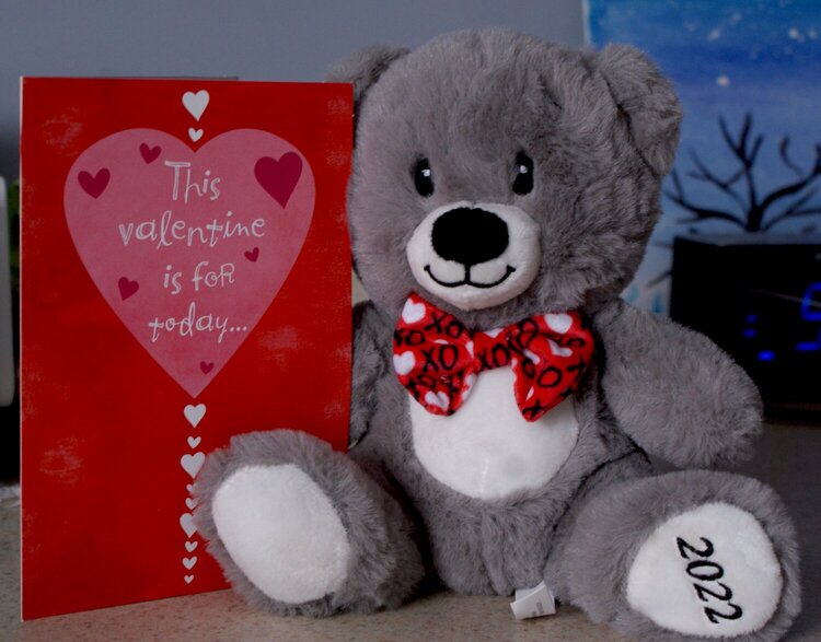 Valentine&#039;s Gift