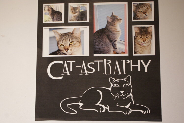 CAT-ASTRAPHY