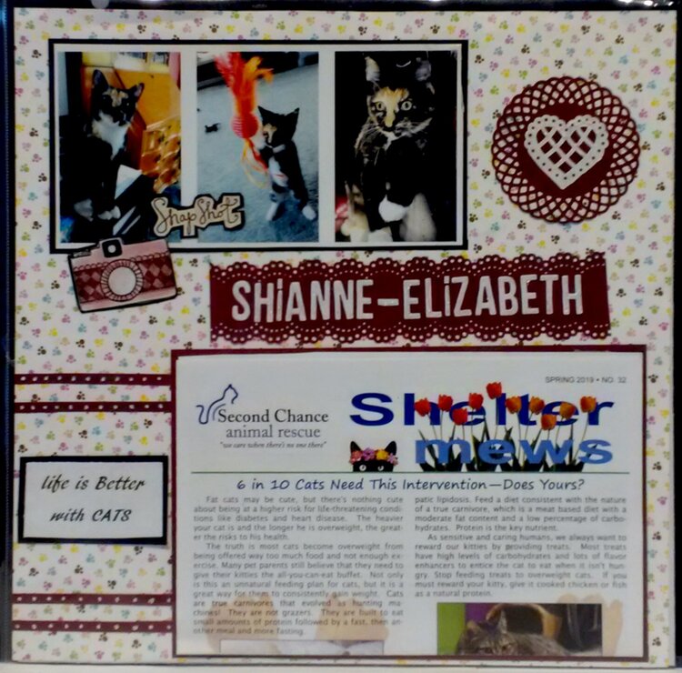 Shianne Elizabeth