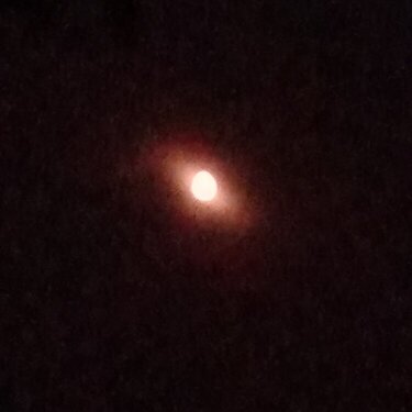 &quot;Red Moon&quot;