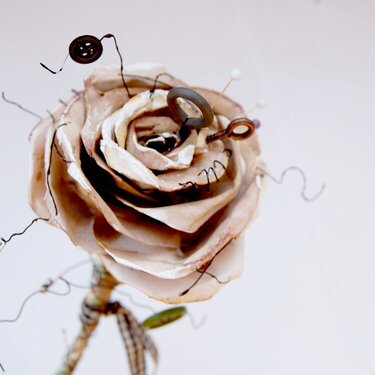 Tattered rose