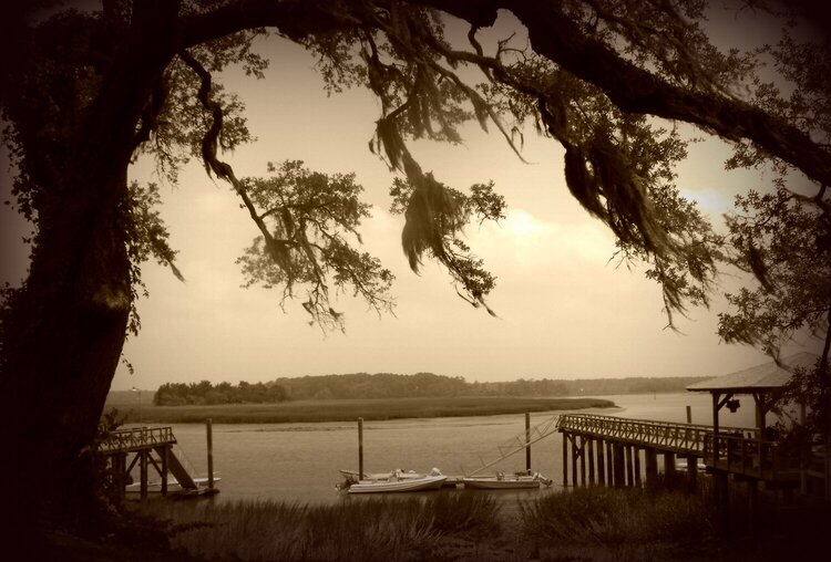 Georgia Lowcountry