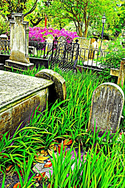Charleston SC graveyard