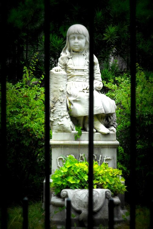 Bonaventure Cemetery Savannah Ga, Gracie