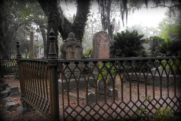 Bonaventure Cemetery Savannah Ga,