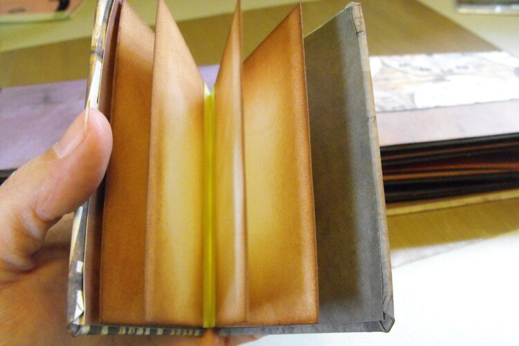 mini book inside album