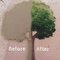 Chipboard tree, before and after painting