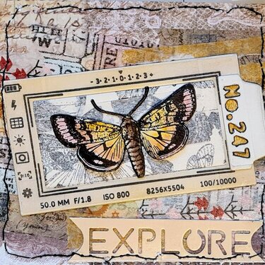 Butterfly file