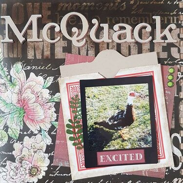 McQuack
