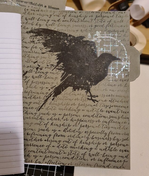 Raven notebook
