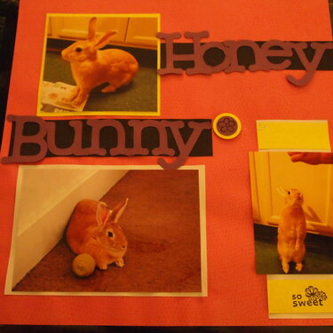 Honey Bunny!