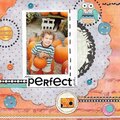 Themed Projects :Perfect Pick