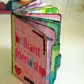 Themed Projects :Brilliant Friendship
