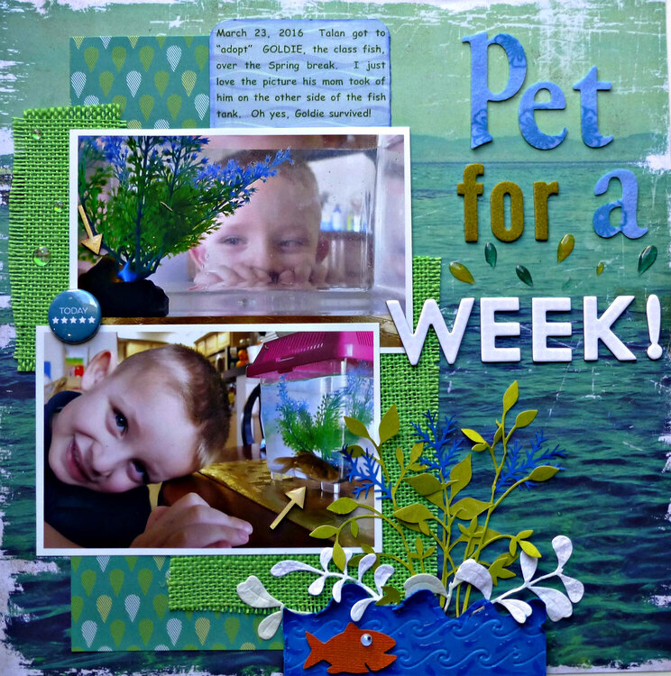 Pet for a Week!