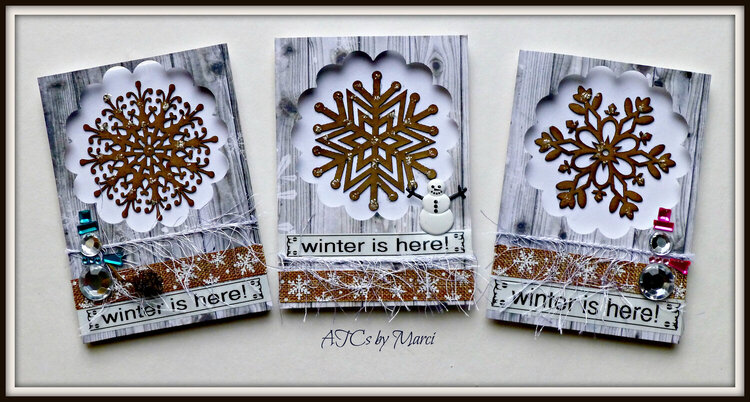 ATC-January-WINTER