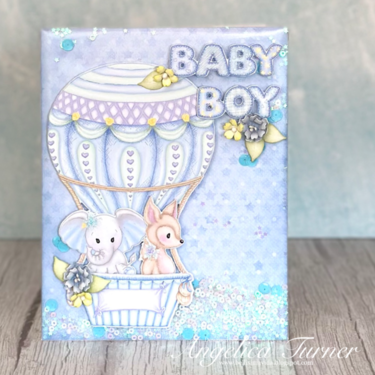 Baby Boy Shaker Card