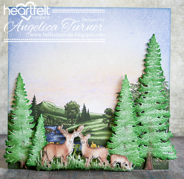 Forest Scene Card
