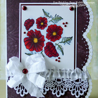 Red Poppies {PPRS}