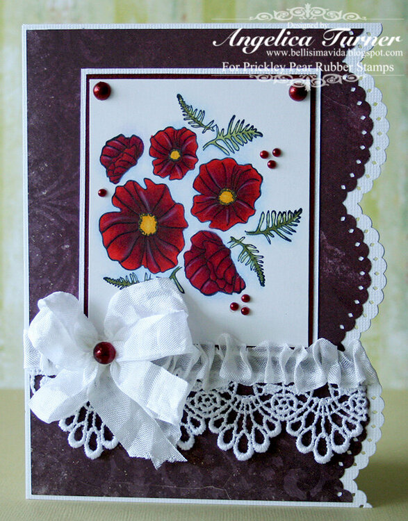 Red Poppies {PPRS}