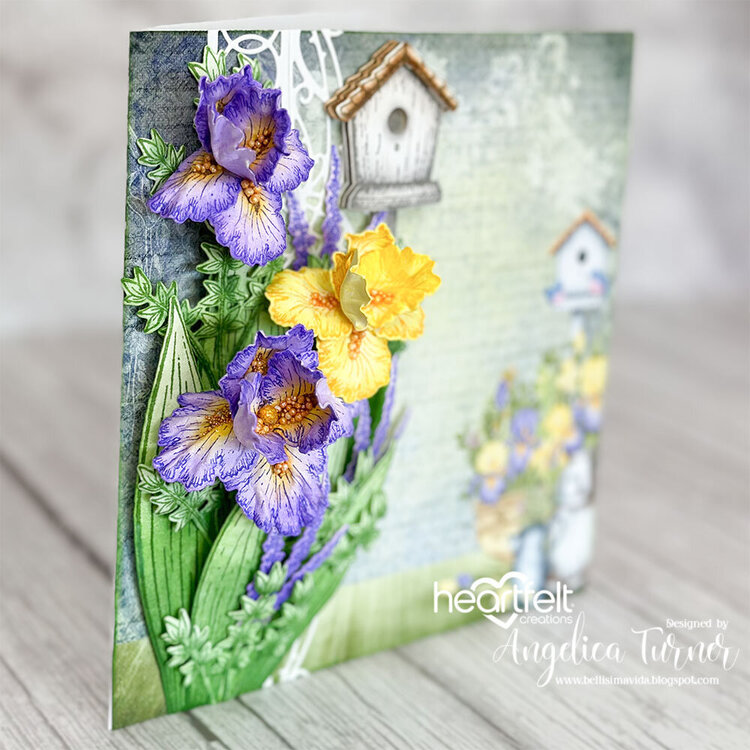 Iris Garden Card