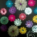 Variety of Handmade paper flowers
