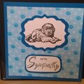 Sympathy card for pet