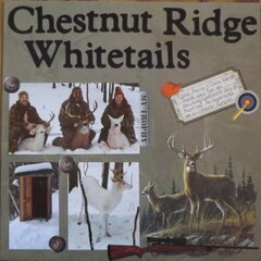 Chestnut Ridge Whitetails