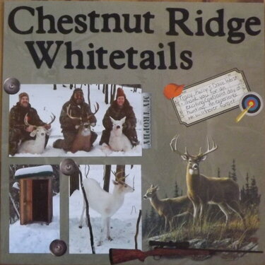Chestnut Ridge Whitetails