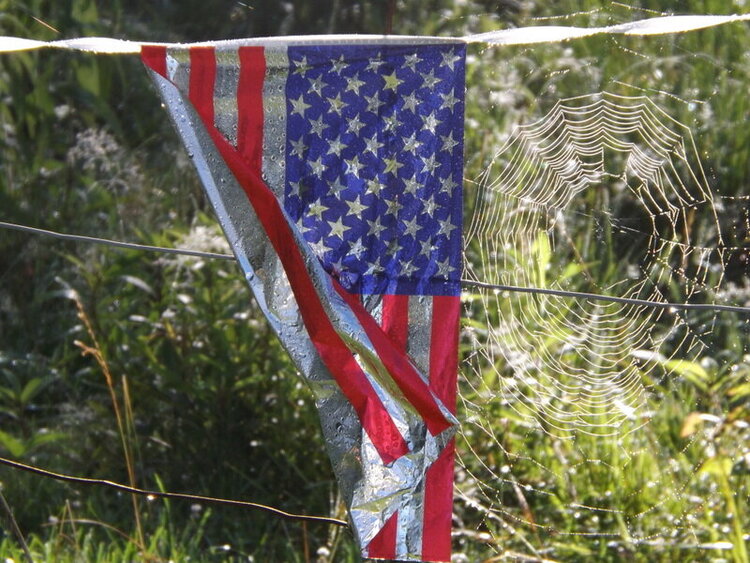 PF #2, Spiderweb, 1 flag