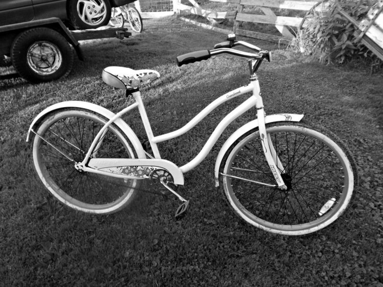 black &amp; white bicycle