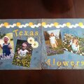 Texas flowers