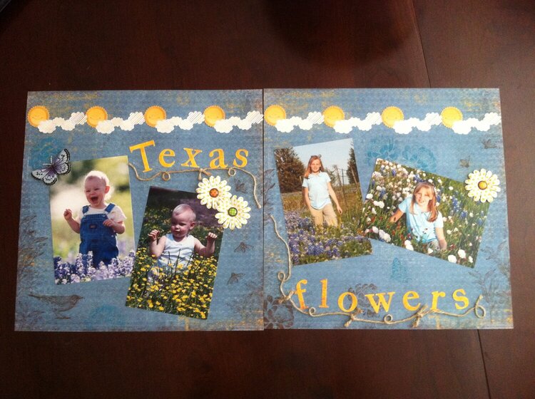 Texas flowers