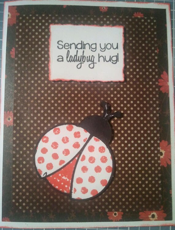 Sending You A Ladybug Hug!