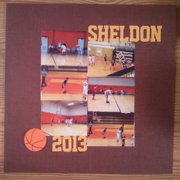 Sheldon 2013