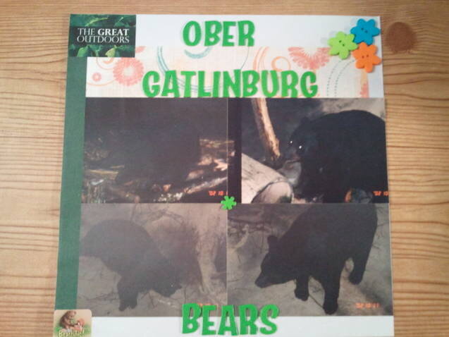 Ober Gatlinburg Bears