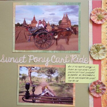 Sunset Pony Cart Ride