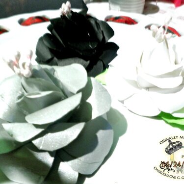 Black &amp; White Fiercer Roses