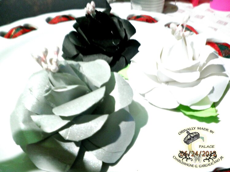 Black &amp; White Fiercer Roses