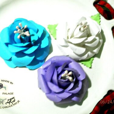 Blue Lagoon Roses my fave among them all !!!