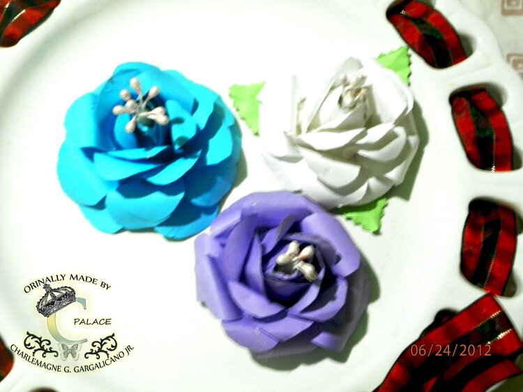 Blue Lagoon Roses my fave among them all !!!
