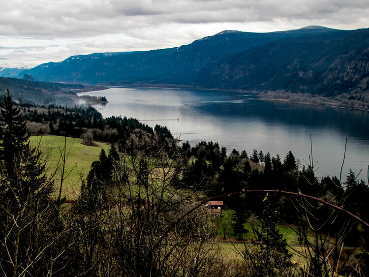 View of Columbia Gorge from Highway 14 on the Washington Side