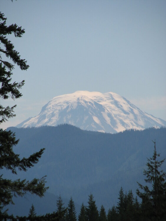 Mt. Adams, from Mt. Rainier at Box Canyon