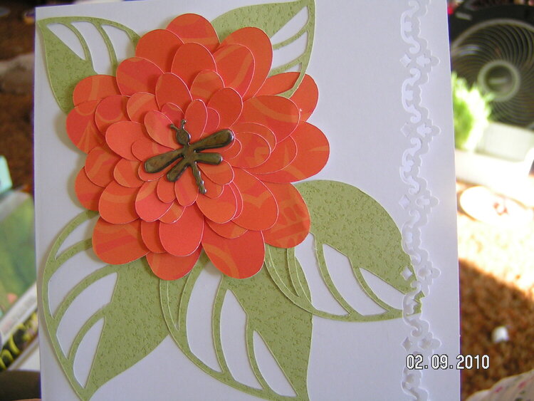 Orange Spring Flower