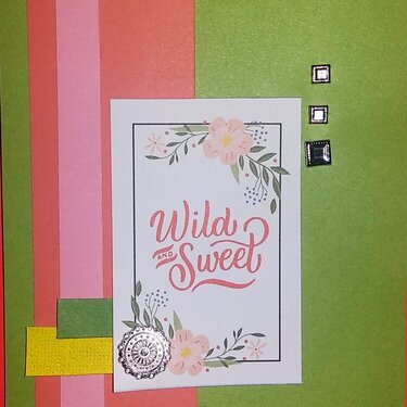 Wild and sweet