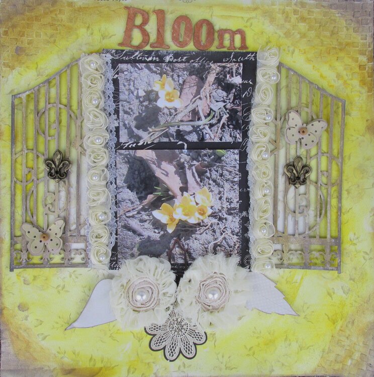 Bloom