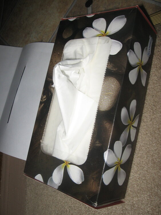 Kleenex box--Before