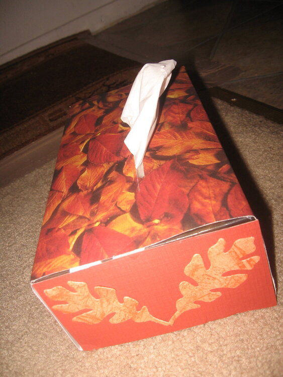 Leaves, (fall) Altered Kleenex box--After