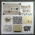 Beach Birds