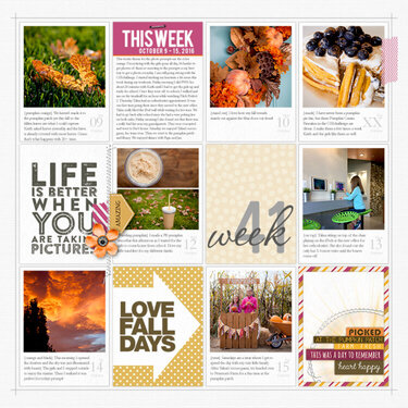 Project Life 2016: Week 41